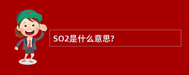 SO2是什么意思?