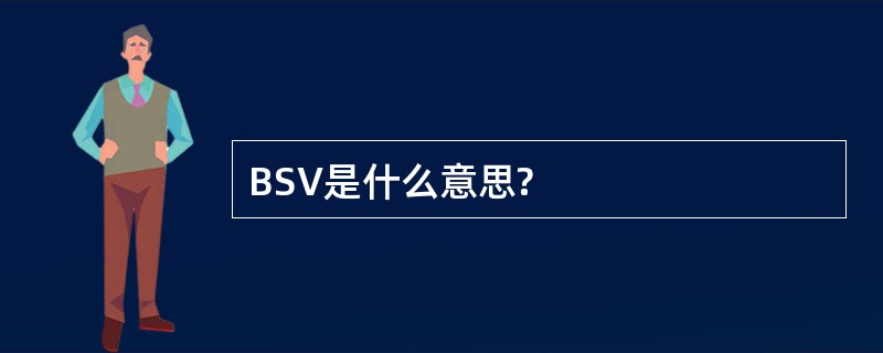 BSV是什么意思?