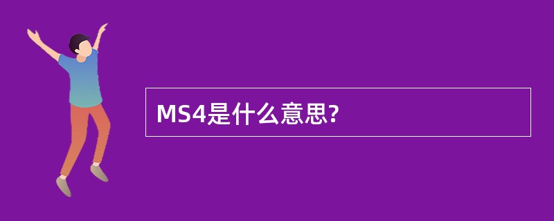 MS4是什么意思?