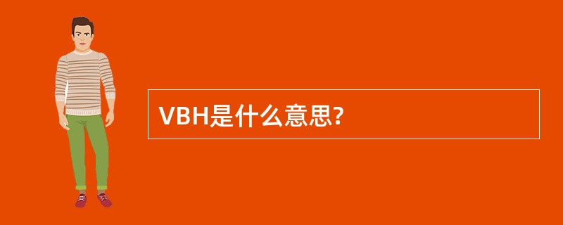 VBH是什么意思?