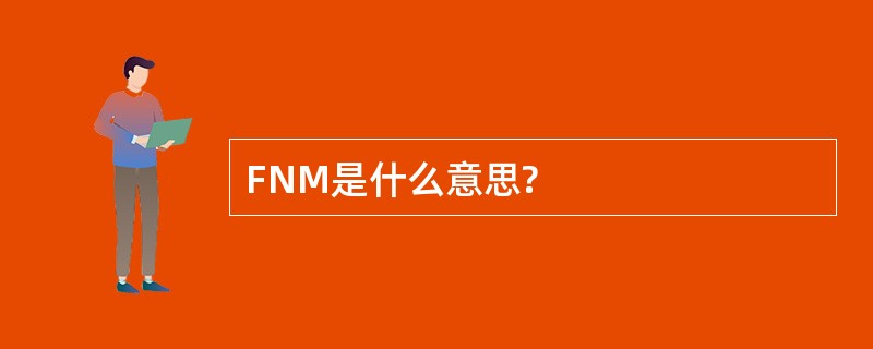 FNM是什么意思?