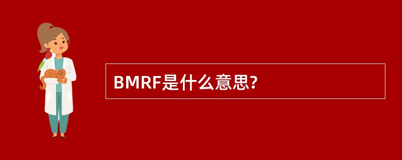 BMRF是什么意思?