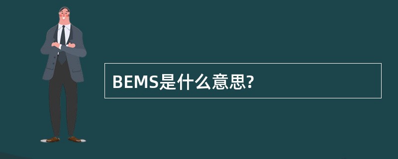 BEMS是什么意思?