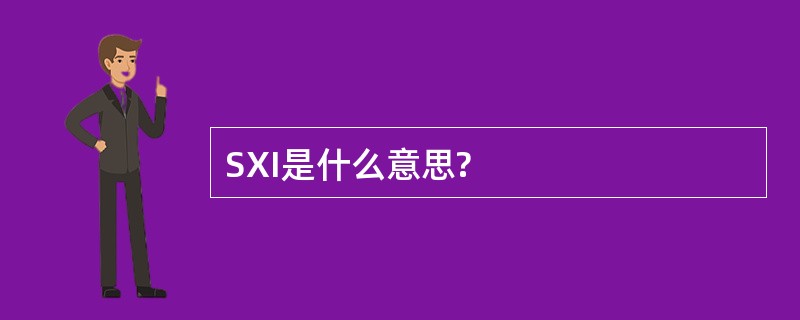 SXI是什么意思?