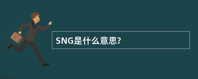 SNG是什么意思?