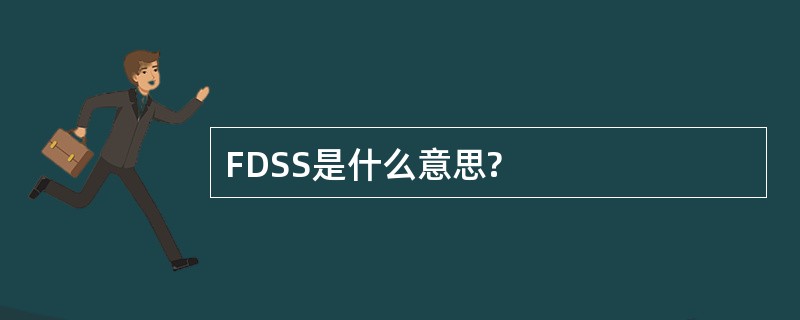 FDSS是什么意思?