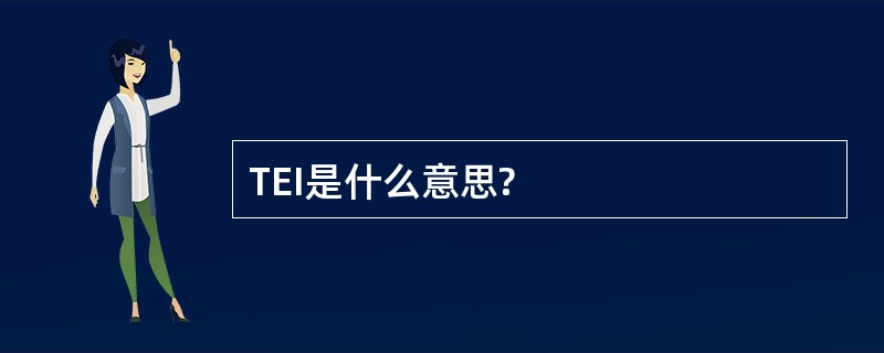 TEI是什么意思?