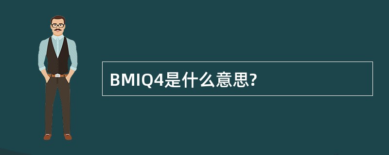 BMIQ4是什么意思?