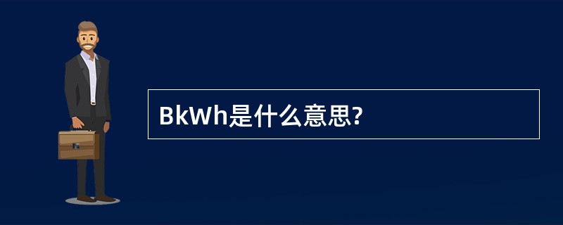 BkWh是什么意思?