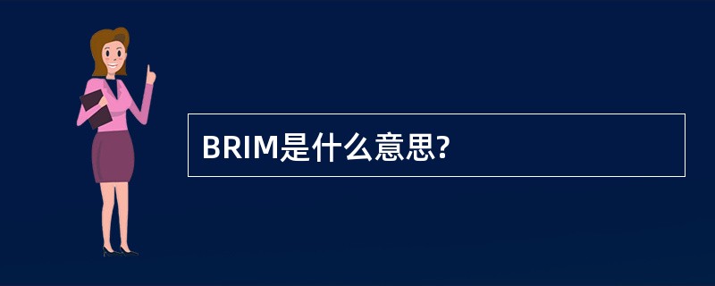 BRIM是什么意思?