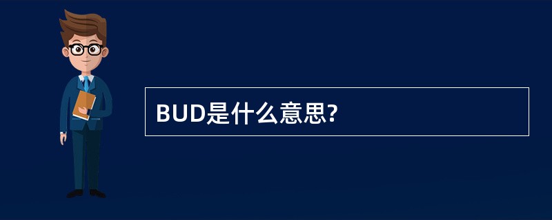 BUD是什么意思?