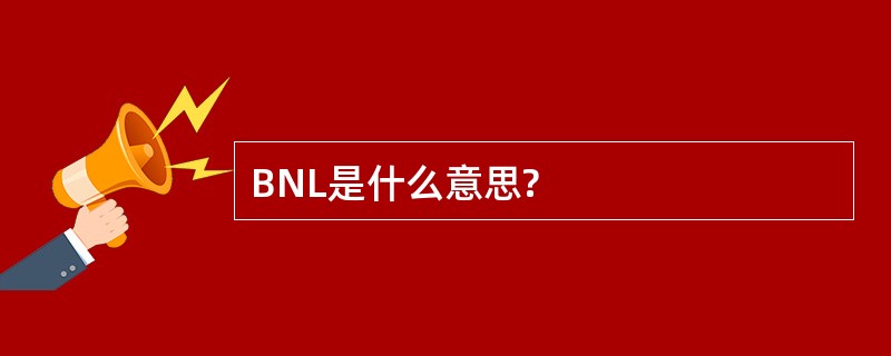 BNL是什么意思?