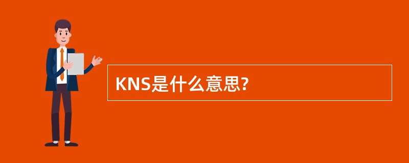 KNS是什么意思?