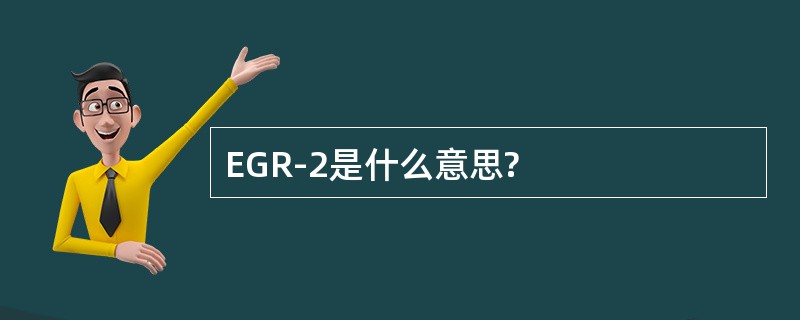 EGR-2是什么意思?