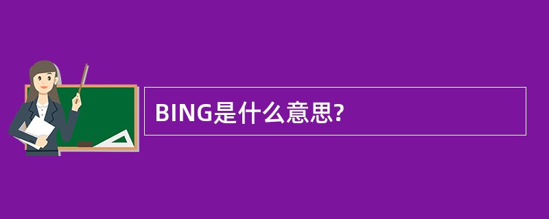 BING是什么意思?