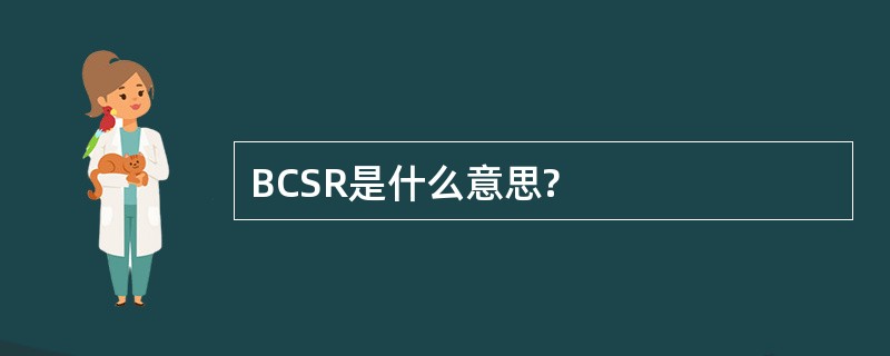 BCSR是什么意思?