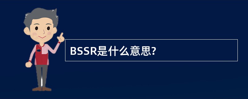 BSSR是什么意思?