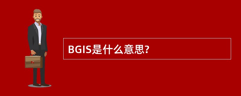 BGIS是什么意思?