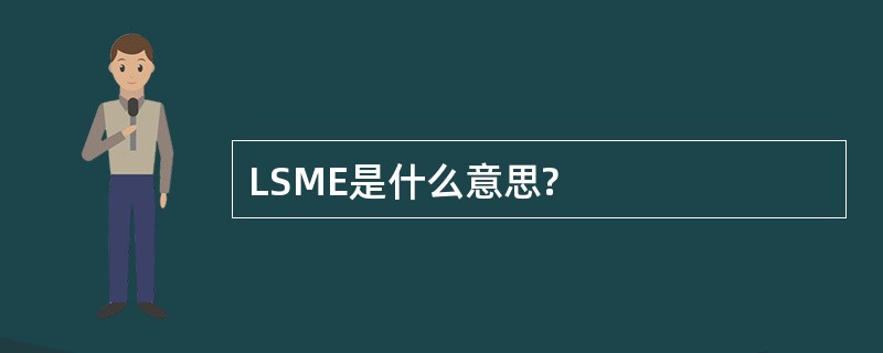 LSME是什么意思?