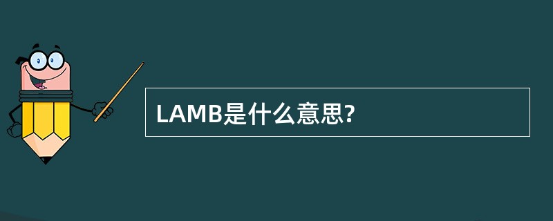 LAMB是什么意思?