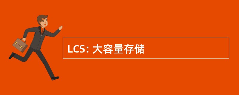 LCS: 大容量存储