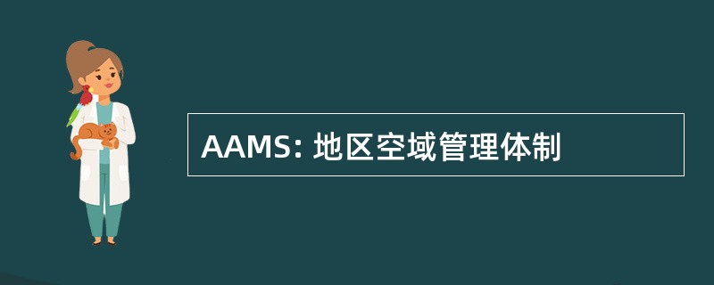 AAMS: 地区空域管理体制