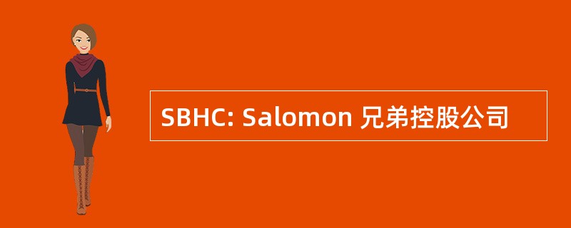 SBHC: Salomon 兄弟控股公司