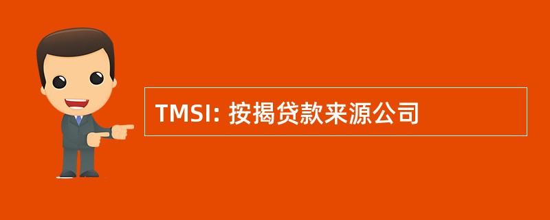 TMSI: 按揭贷款来源公司