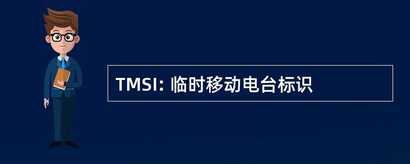 TMSI: 临时移动电台标识