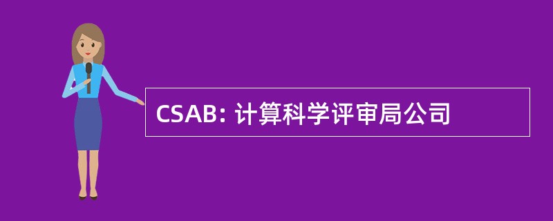 CSAB: 计算科学评审局公司