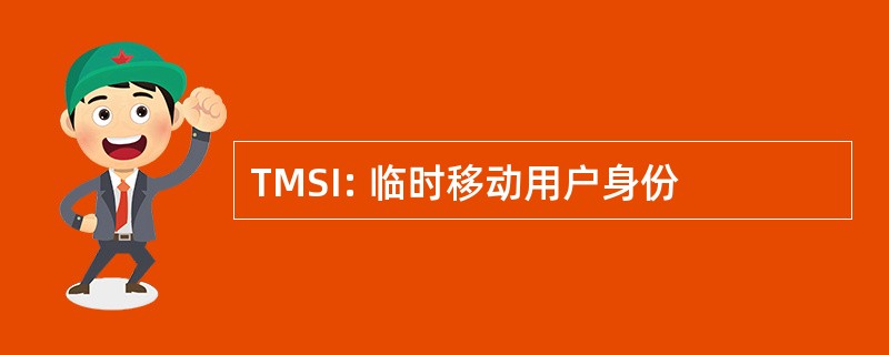 TMSI: 临时移动用户身份