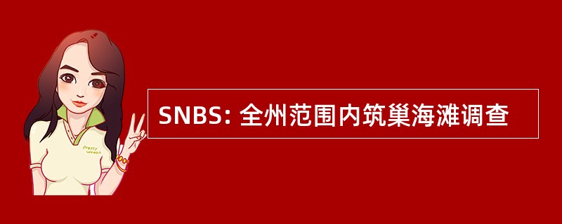 SNBS: 全州范围内筑巢海滩调查