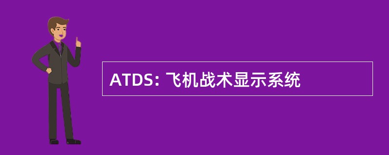 ATDS: 飞机战术显示系统