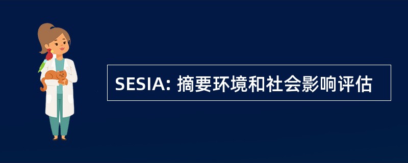 SESIA: 摘要环境和社会影响评估