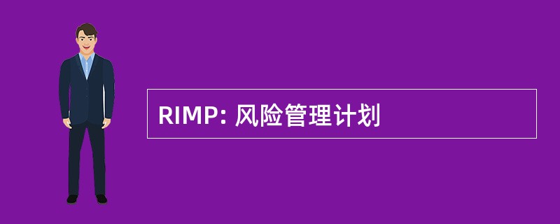 RIMP: 风险管理计划