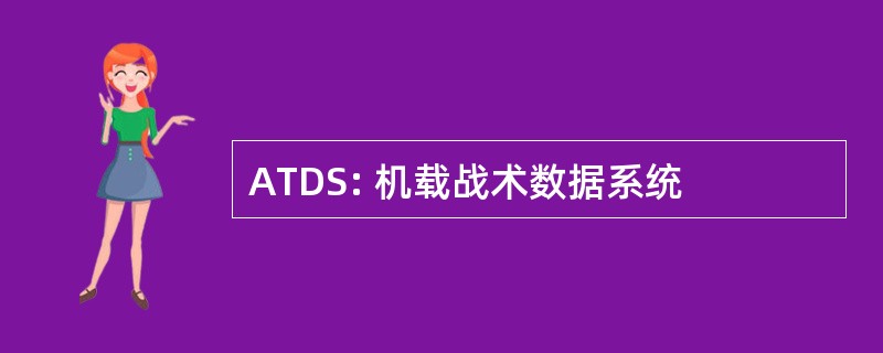 ATDS: 机载战术数据系统