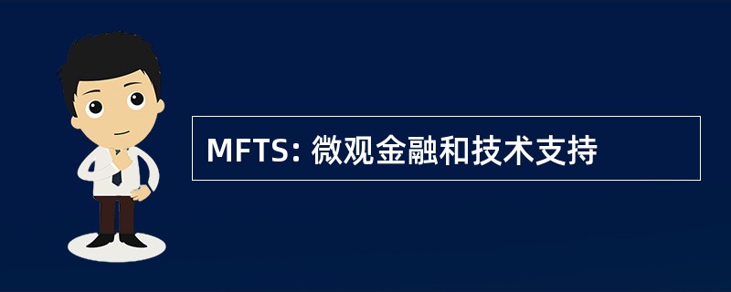 MFTS: 微观金融和技术支持