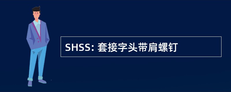 SHSS: 套接字头带肩螺钉