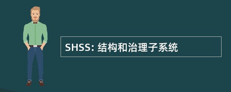 SHSS: 结构和治理子系统