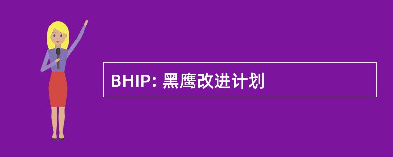 BHIP: 黑鹰改进计划