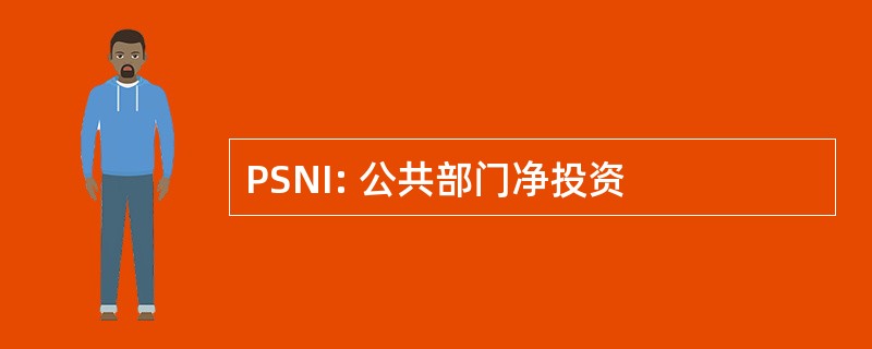 PSNI: 公共部门净投资