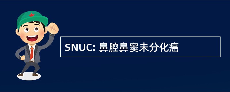 SNUC: 鼻腔鼻窦未分化癌