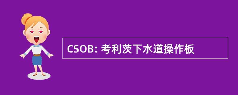 CSOB: 考利茨下水道操作板