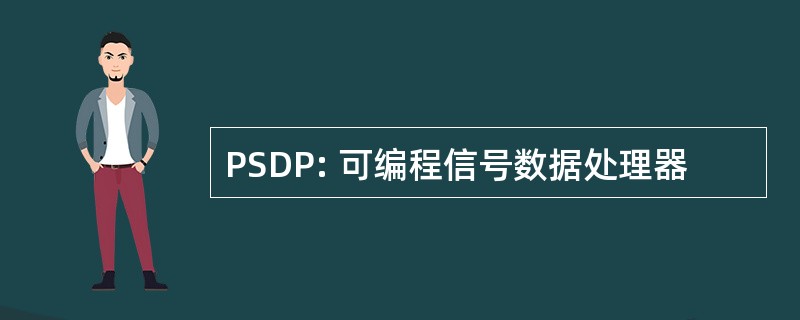 PSDP: 可编程信号数据处理器