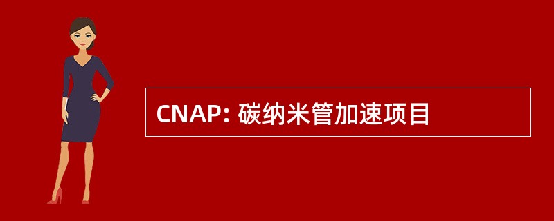 CNAP: 碳纳米管加速项目