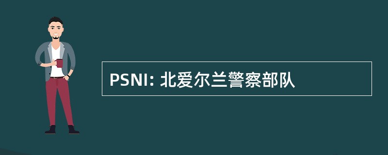 PSNI: 北爱尔兰警察部队