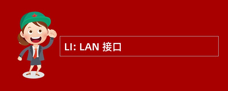 LI: LAN 接口