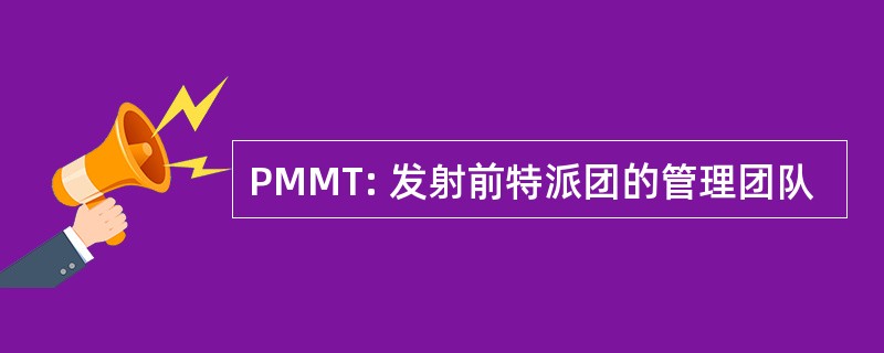 PMMT: 发射前特派团的管理团队