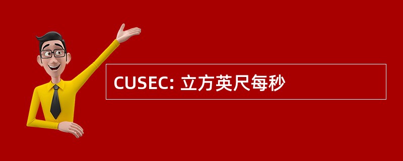 CUSEC: 立方英尺每秒