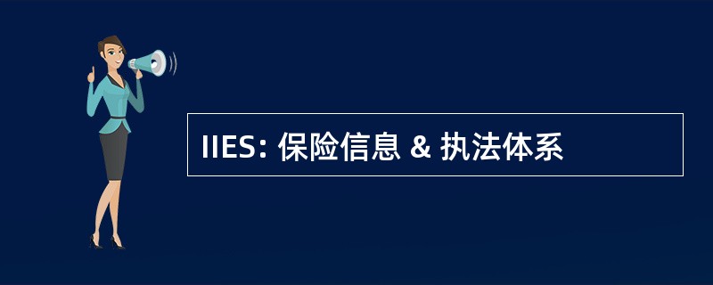 IIES: 保险信息 & 执法体系